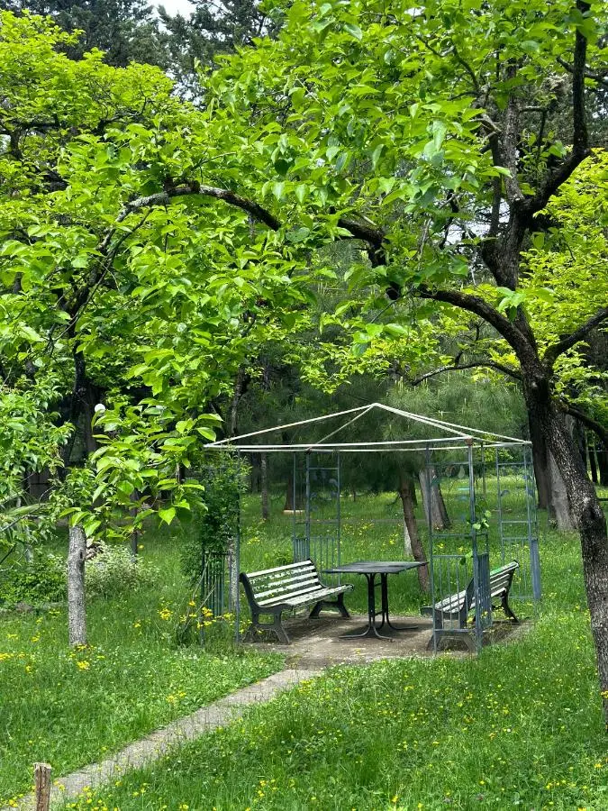 Park Hotel Imeri kutaisi