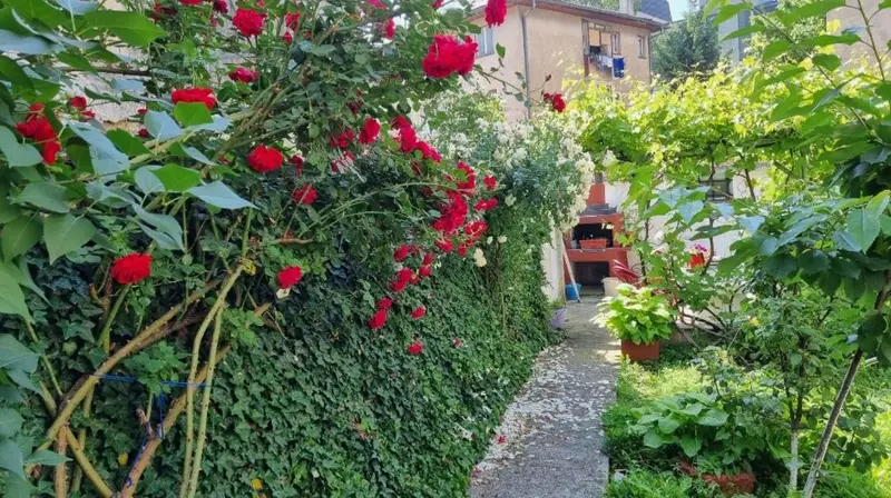Bosnien Old House