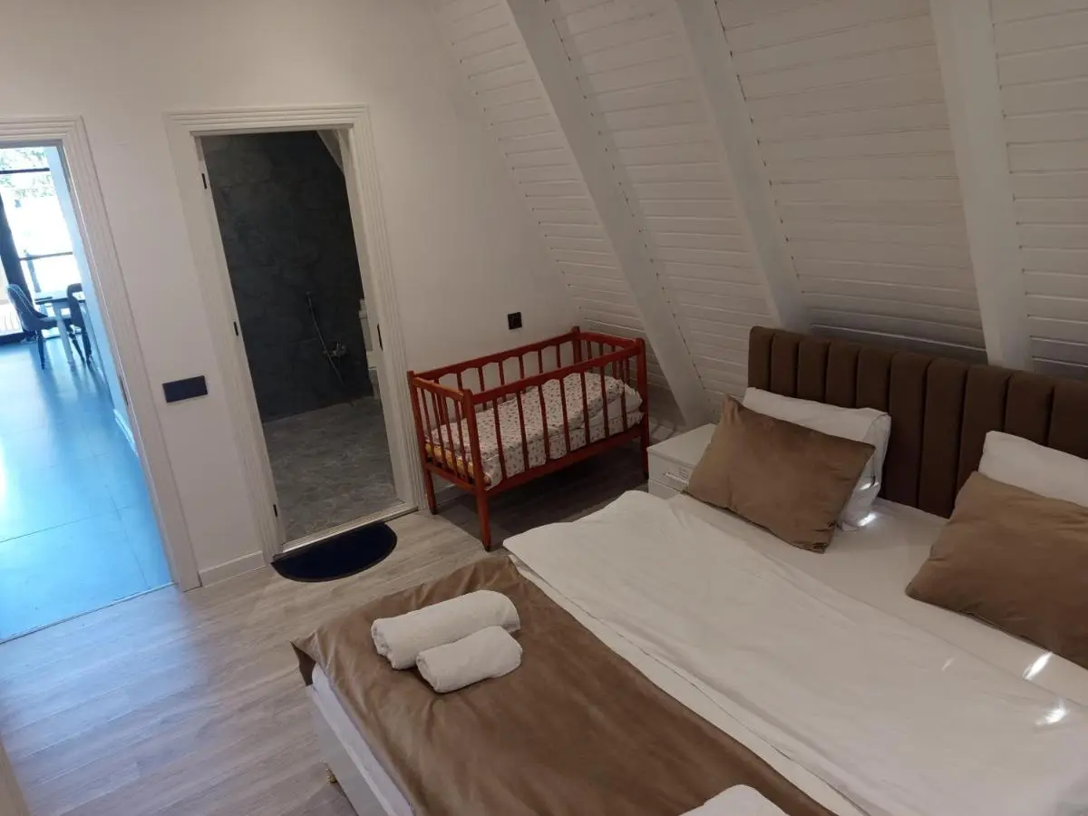Gabala A frame Guest villa