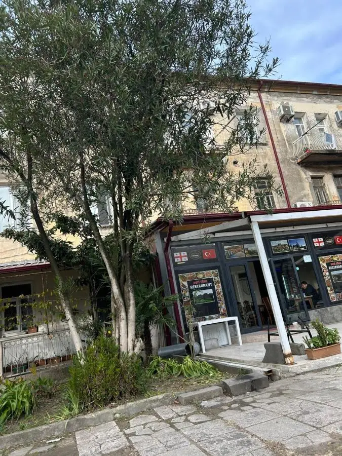 Apartament at Gegidze street