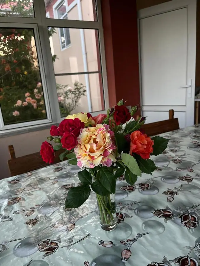 Quba Guest House