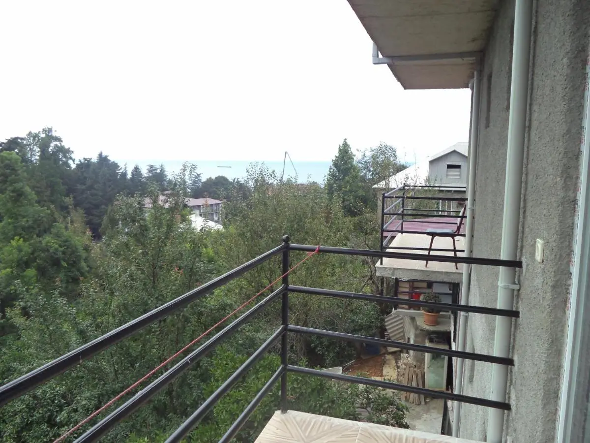 Maiko's House