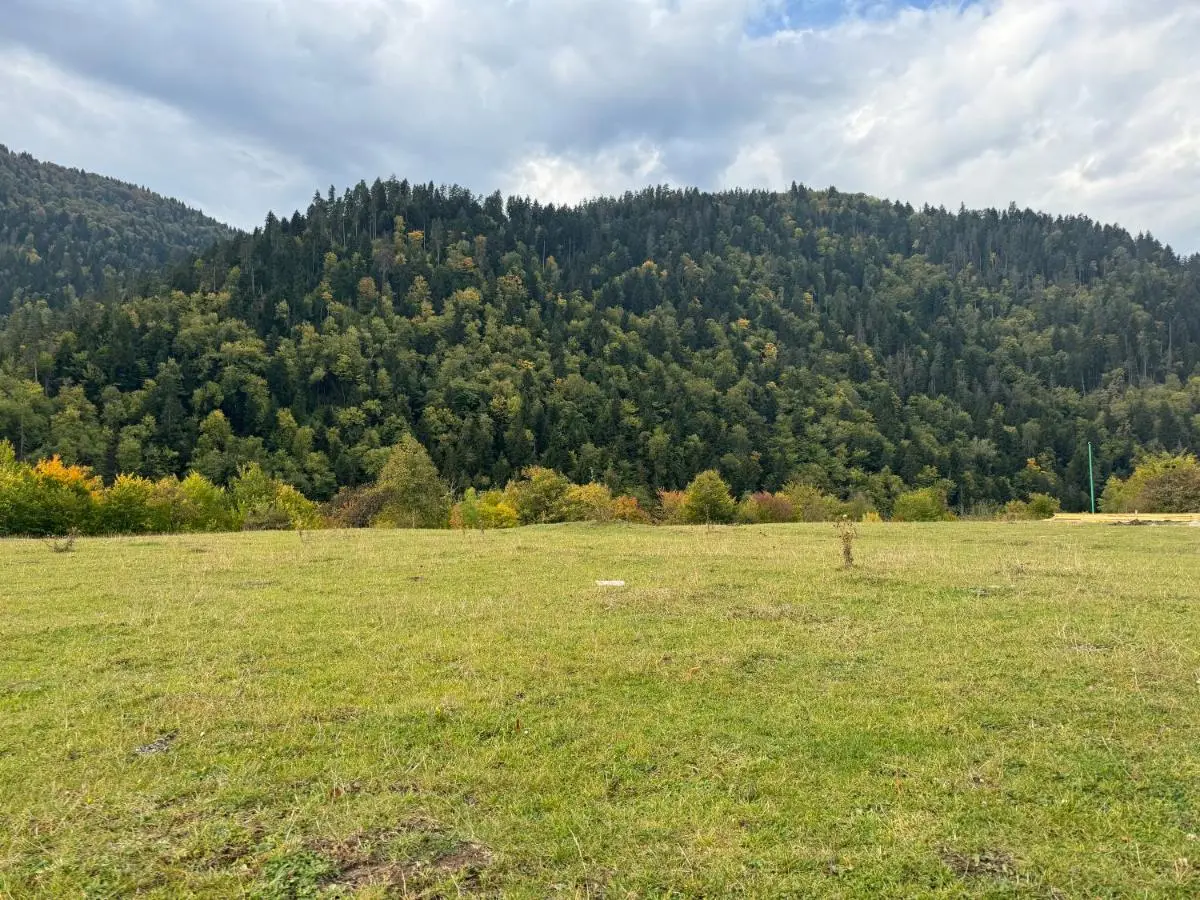 Buddy House Borjomi