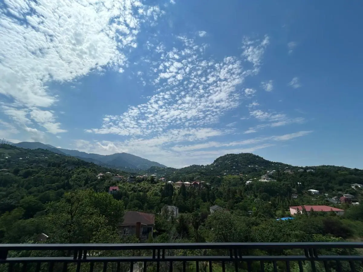 Shine Hill შაინ ჰილი