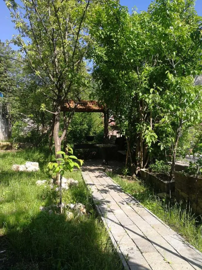 Guest House Shvelidze