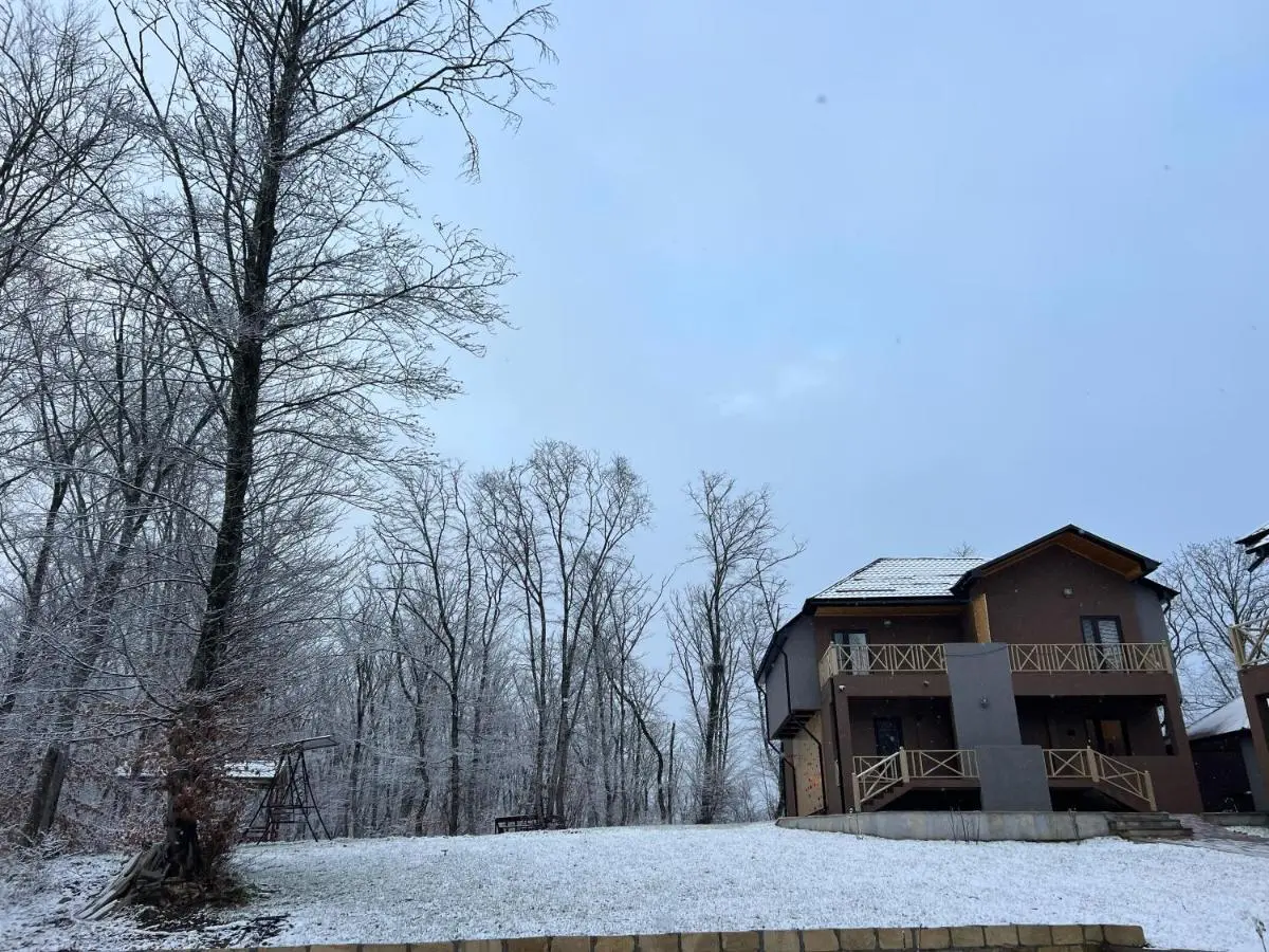 CHALET WOODS GUSAR