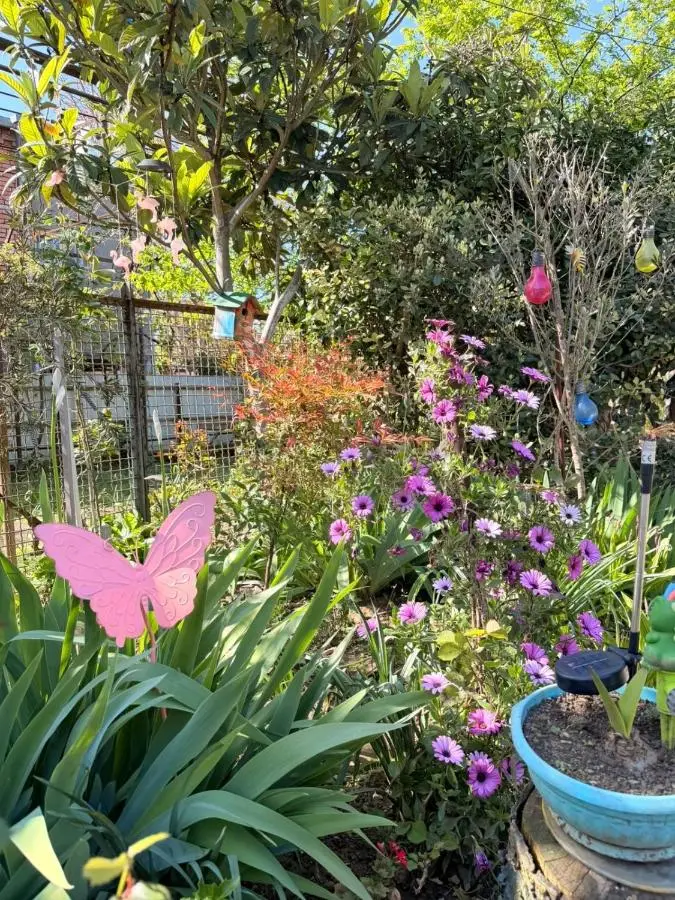 Sunny Flower