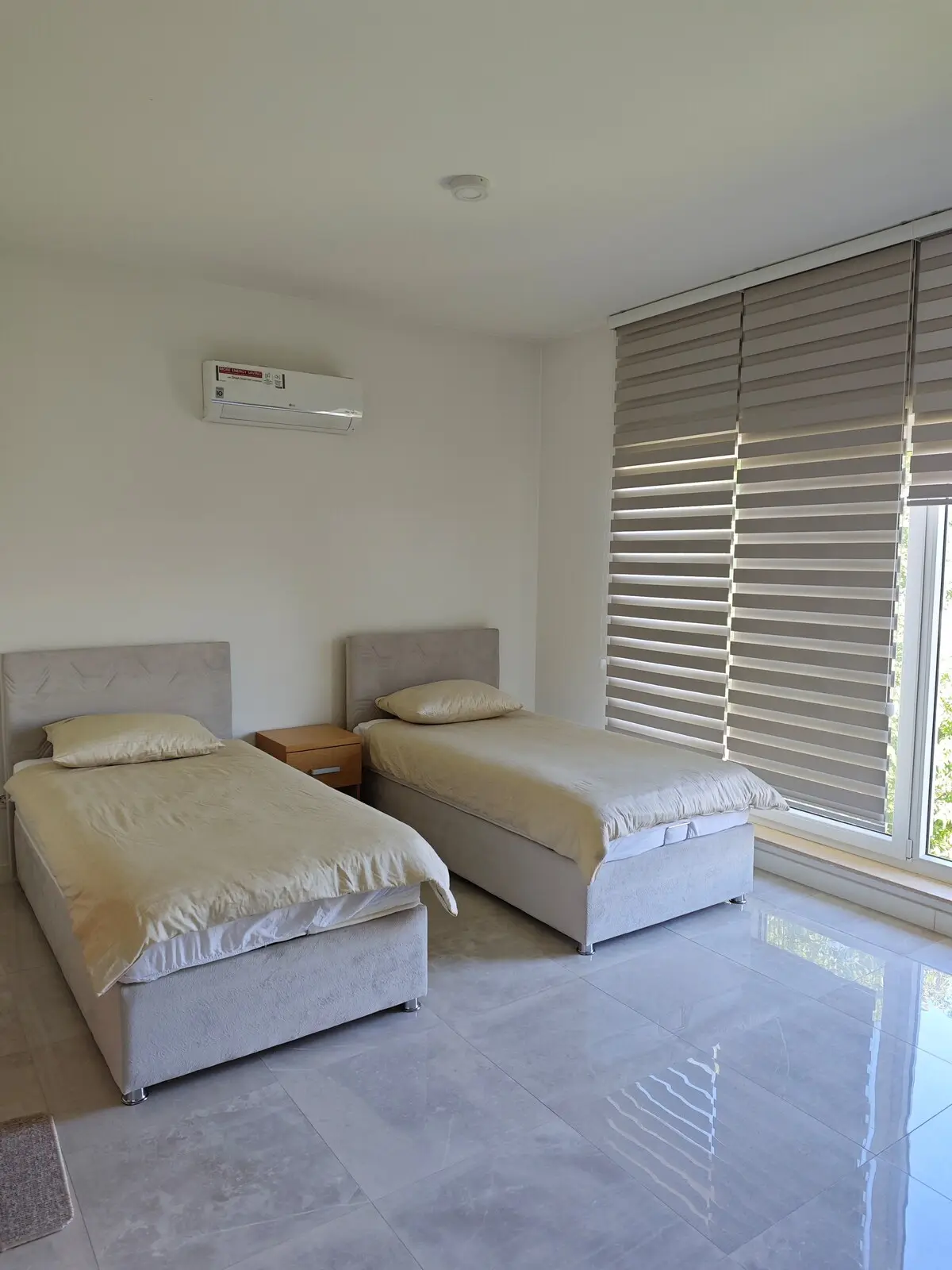 Luxury Villa Plandište 1