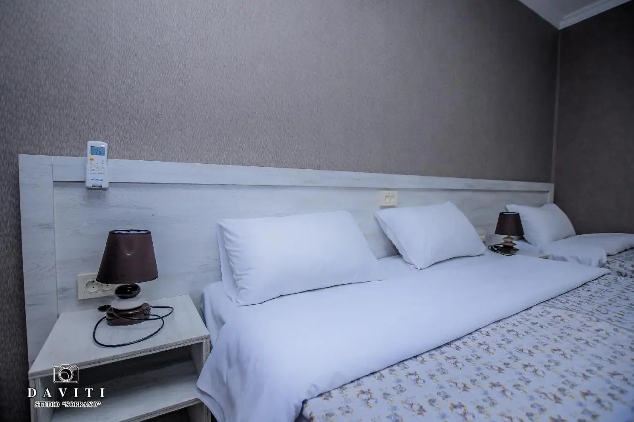 Hotel Tskhumi