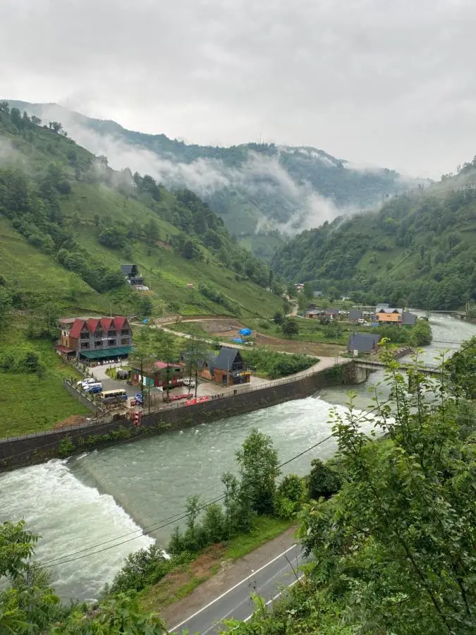 AyDeR CuNeLi BUnGaLoV