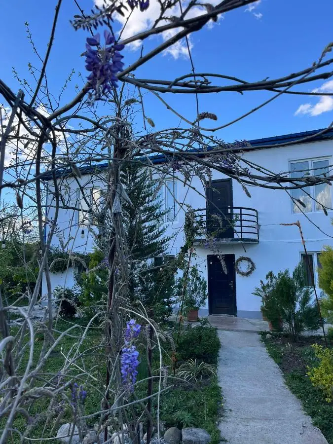 NOVEL HOUSE
