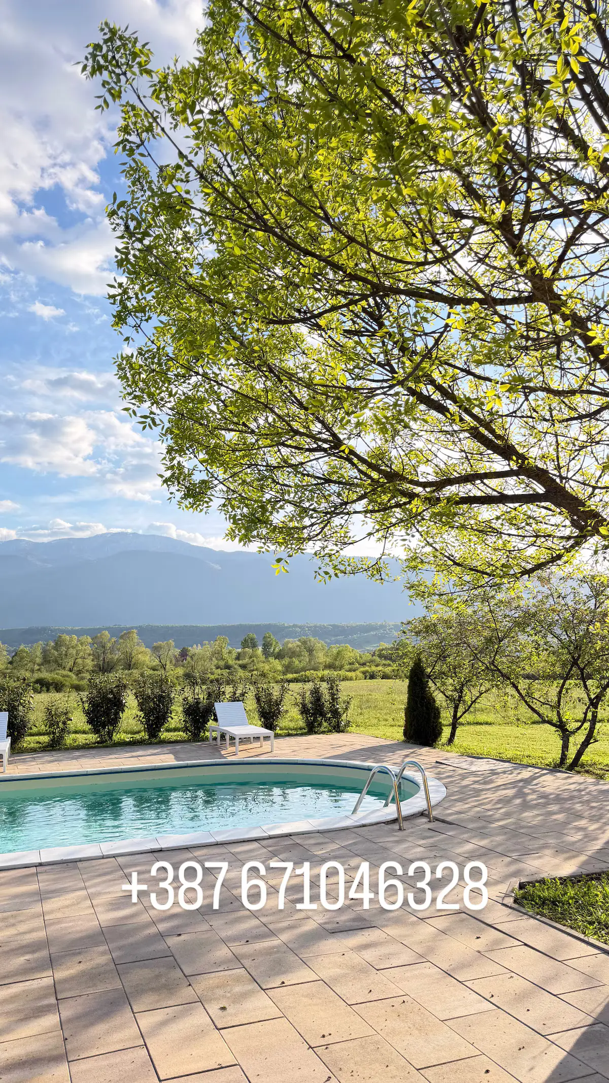 Pool House Voyage