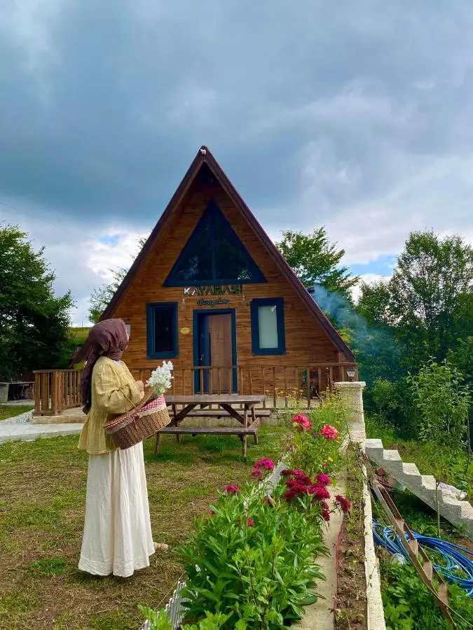 Kayabaşı bungolov