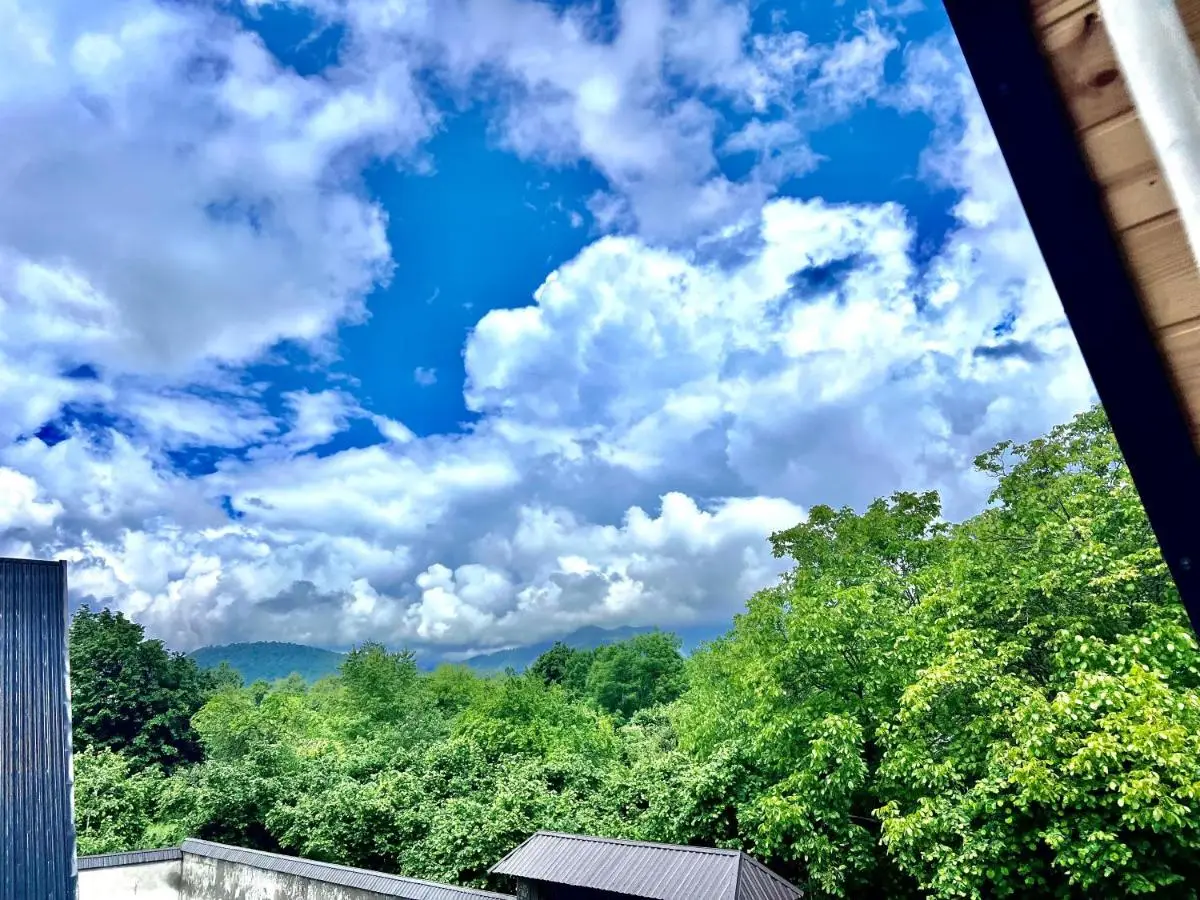 Gabala Mountain View A-frame