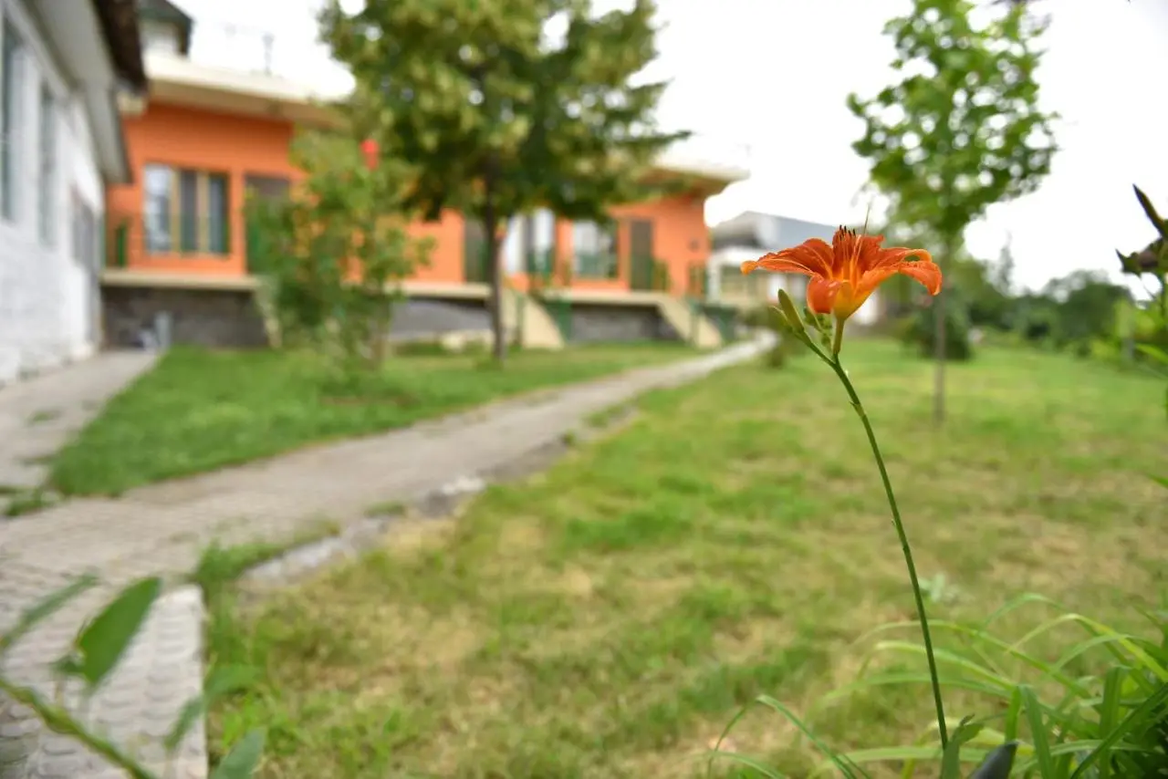 Sheki Panorama Guest House