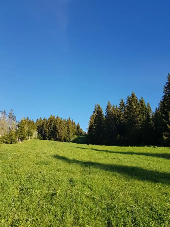 Vlasicka avantura Eko Fis 509