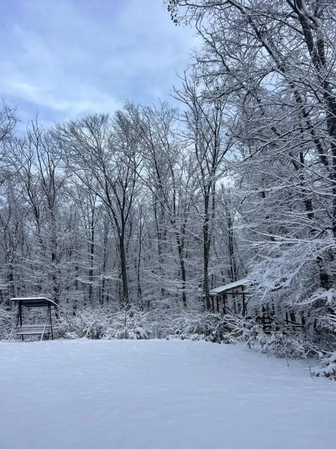 CHALET WOODS GUSAR
