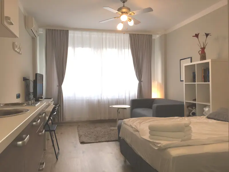 Cosy studio apartment in city center