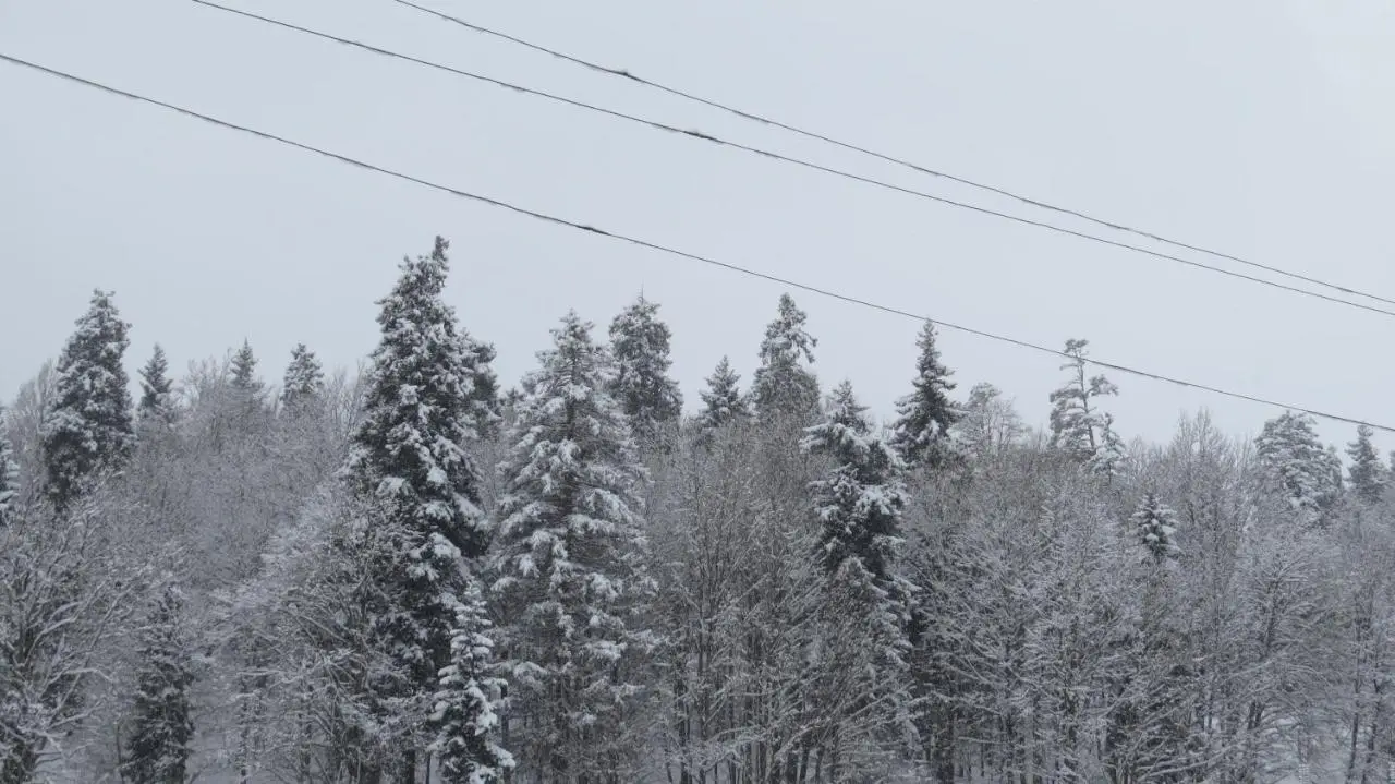 Chalet Kokhta