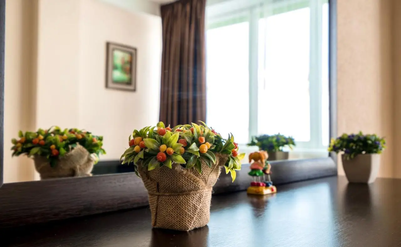 2-room Apartment NFT Gudauri Penta 503