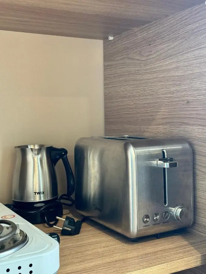 Bakuriani apartment 210