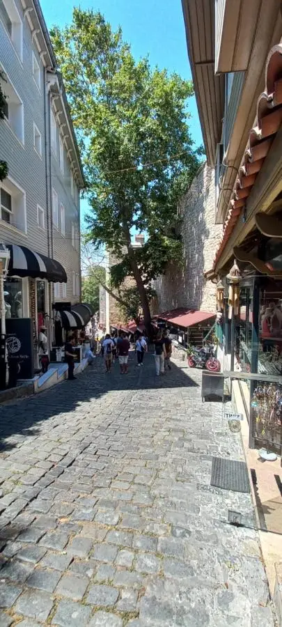 Coskun House