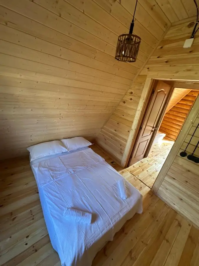 VIP-comfort BORJOMI