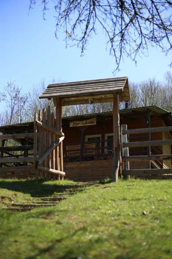 Forest Lodge on the Pyramid