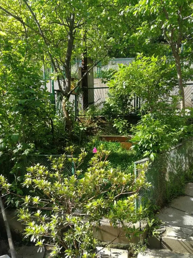 Guest House Shvelidze