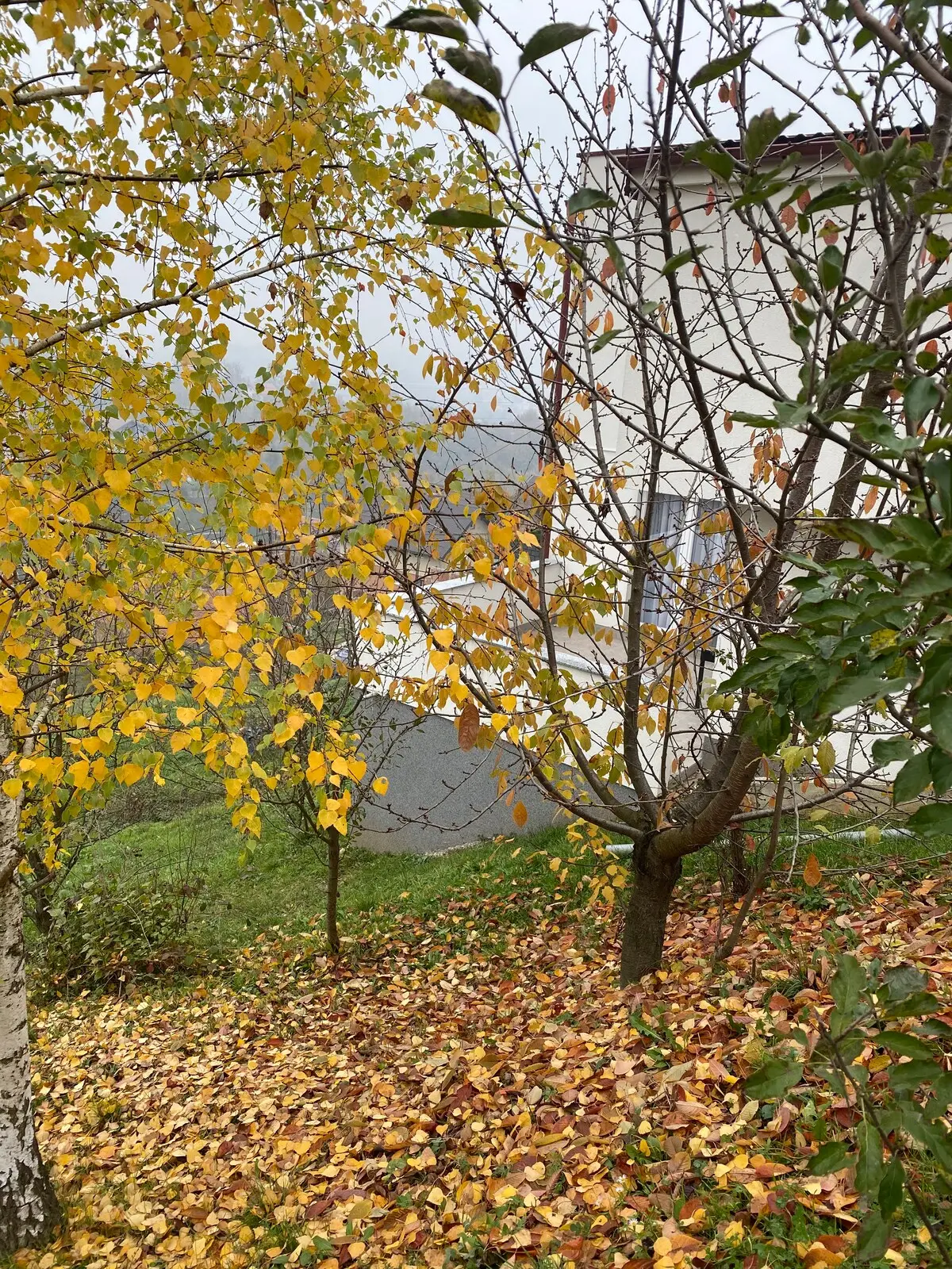 Villa Sunny Alley - Sunčani Sokak - Sarajevo