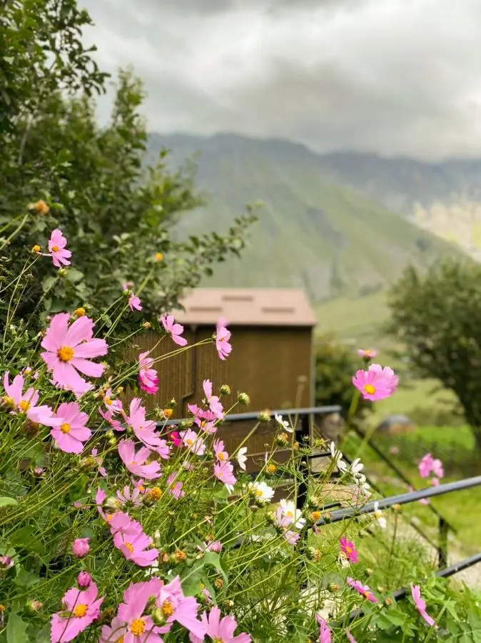 My Space Kazbegi