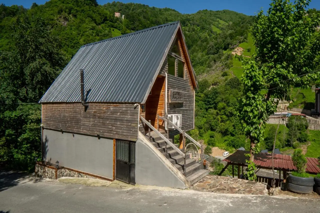 AyDeR CuNeLi BUnGaLoV