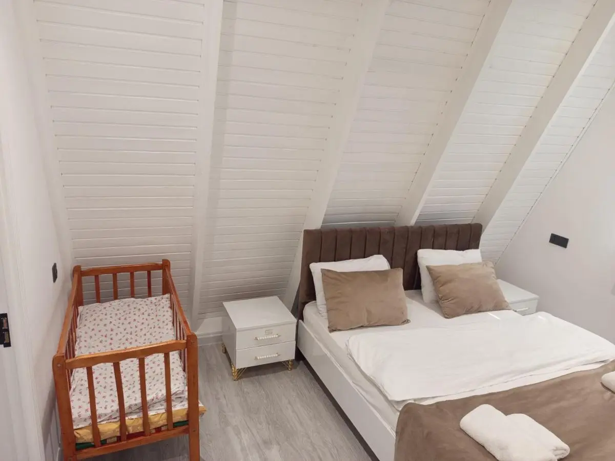 Gabala A frame Guest villa