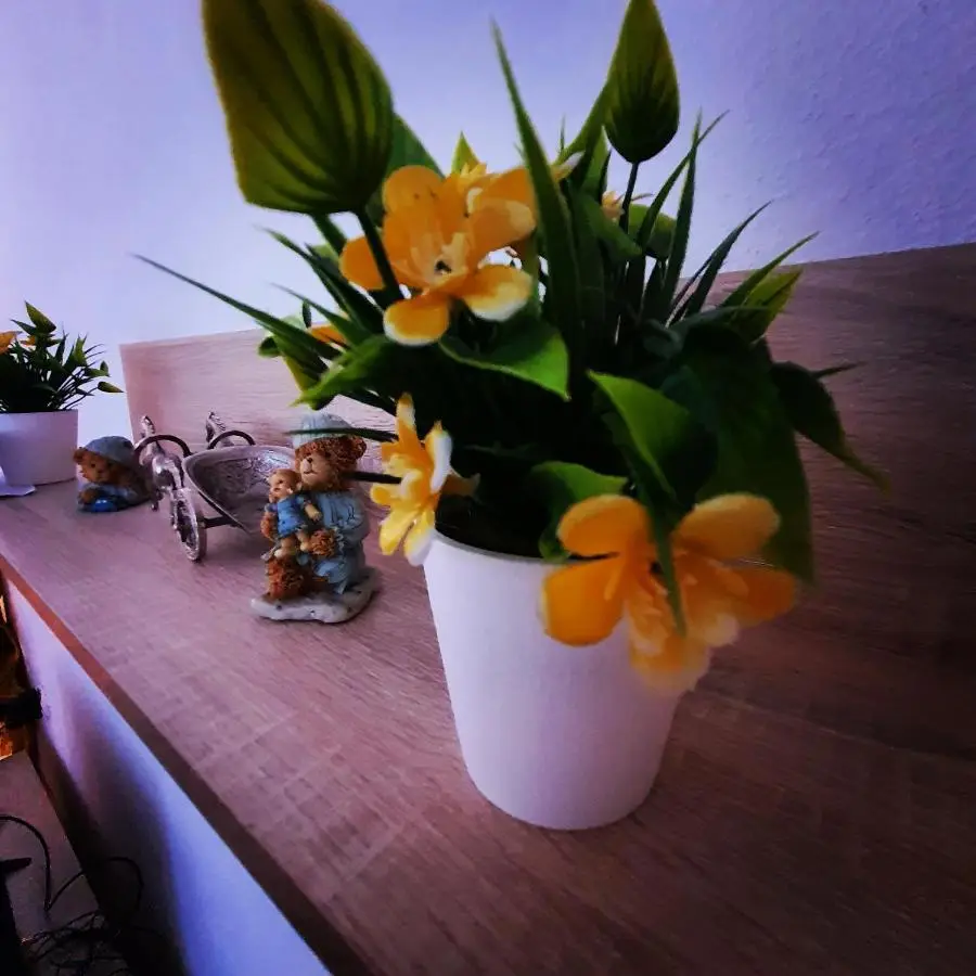 Apartman Teddy12-Vlašić