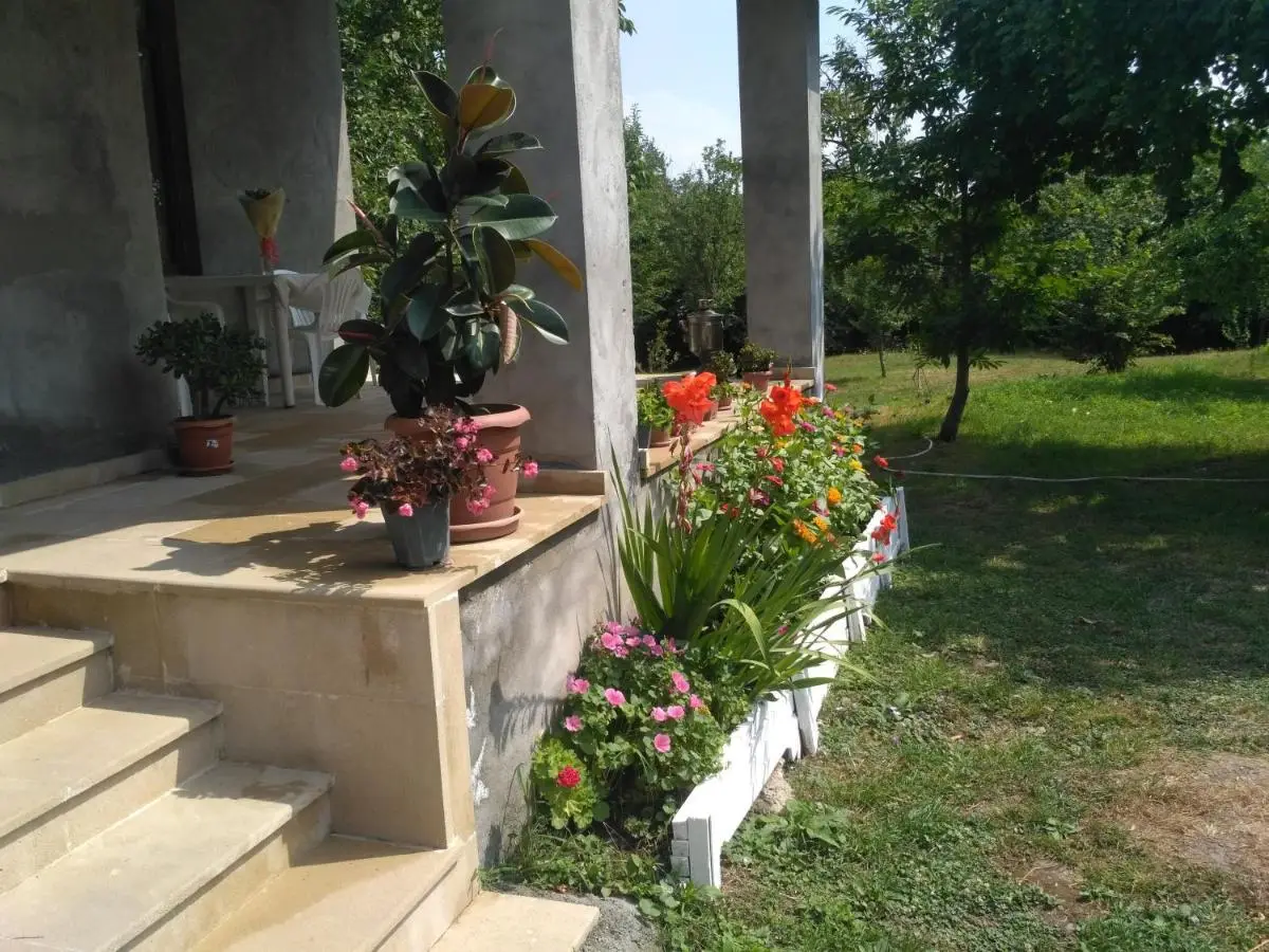 Gabala Dreams Villa with Large Garden