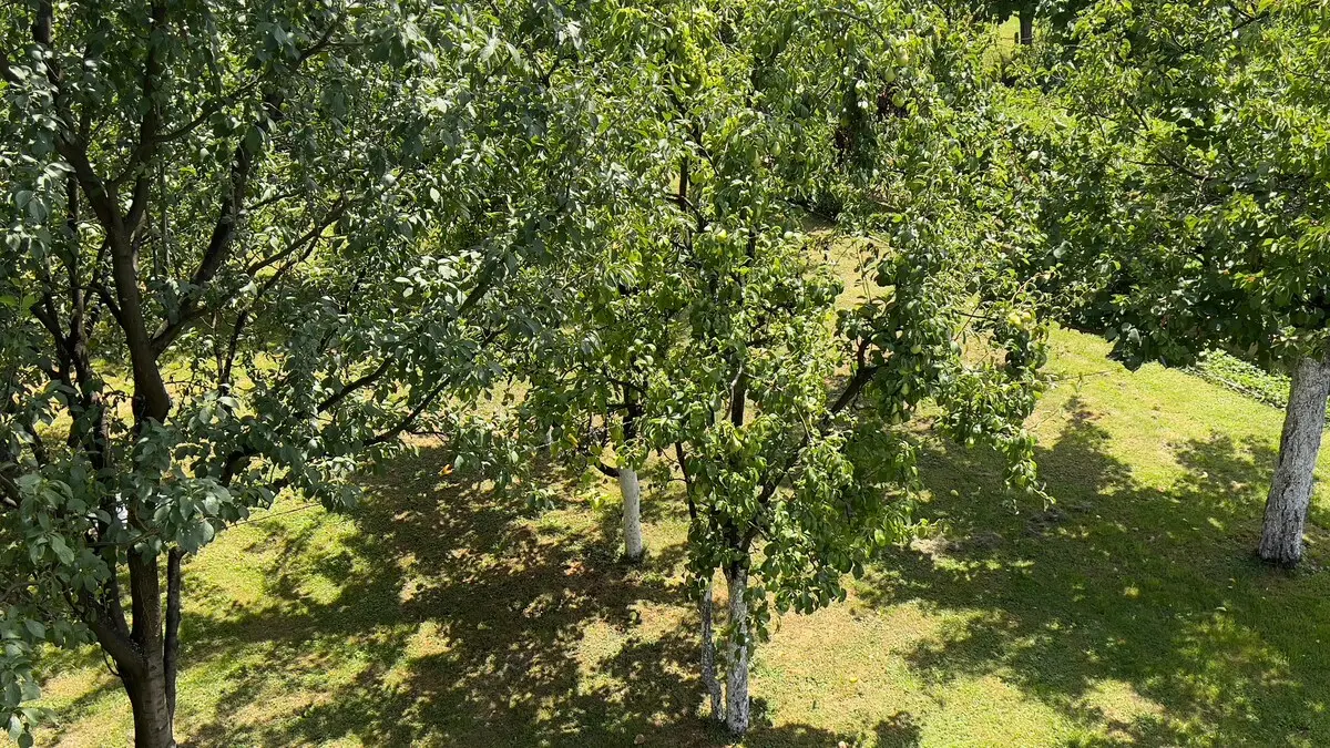 10 minutes from Sarajevo Airport | Free Parking*
