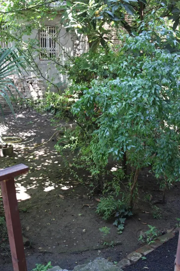 Guest House Teo