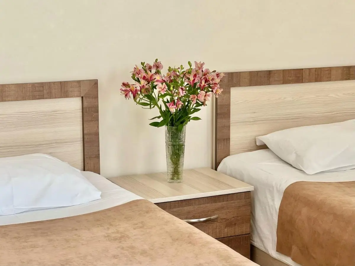 Hotel Mireosi