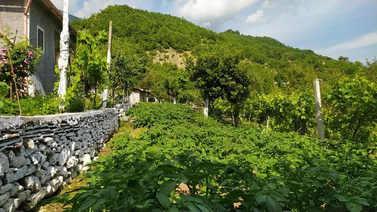 Spring Village Home