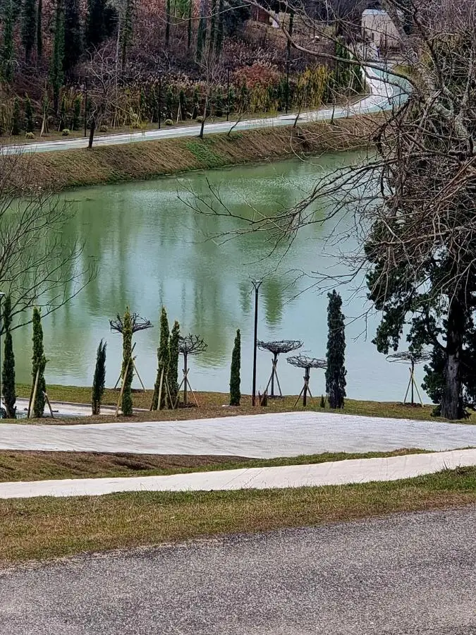 Lake House