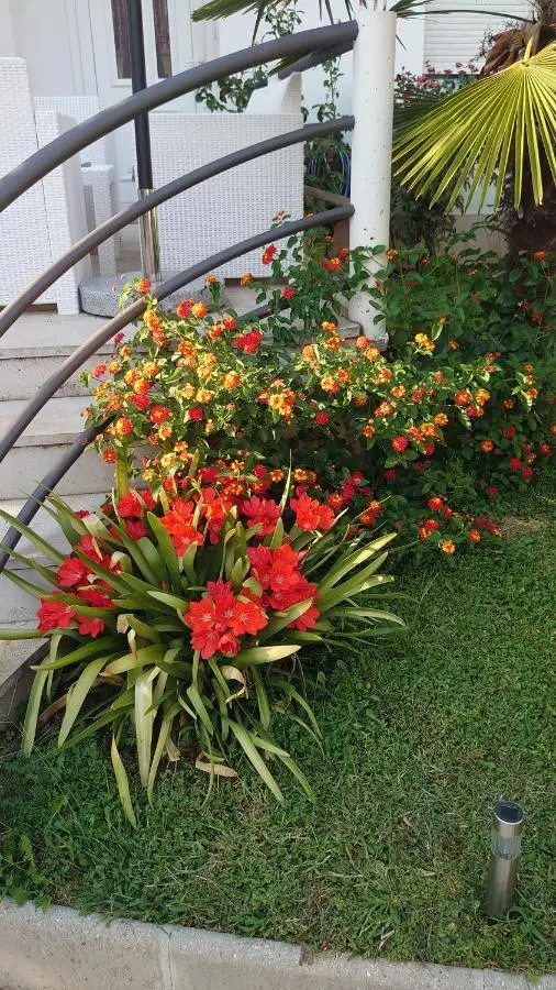 Apartments Tulipan - with free private parking garage