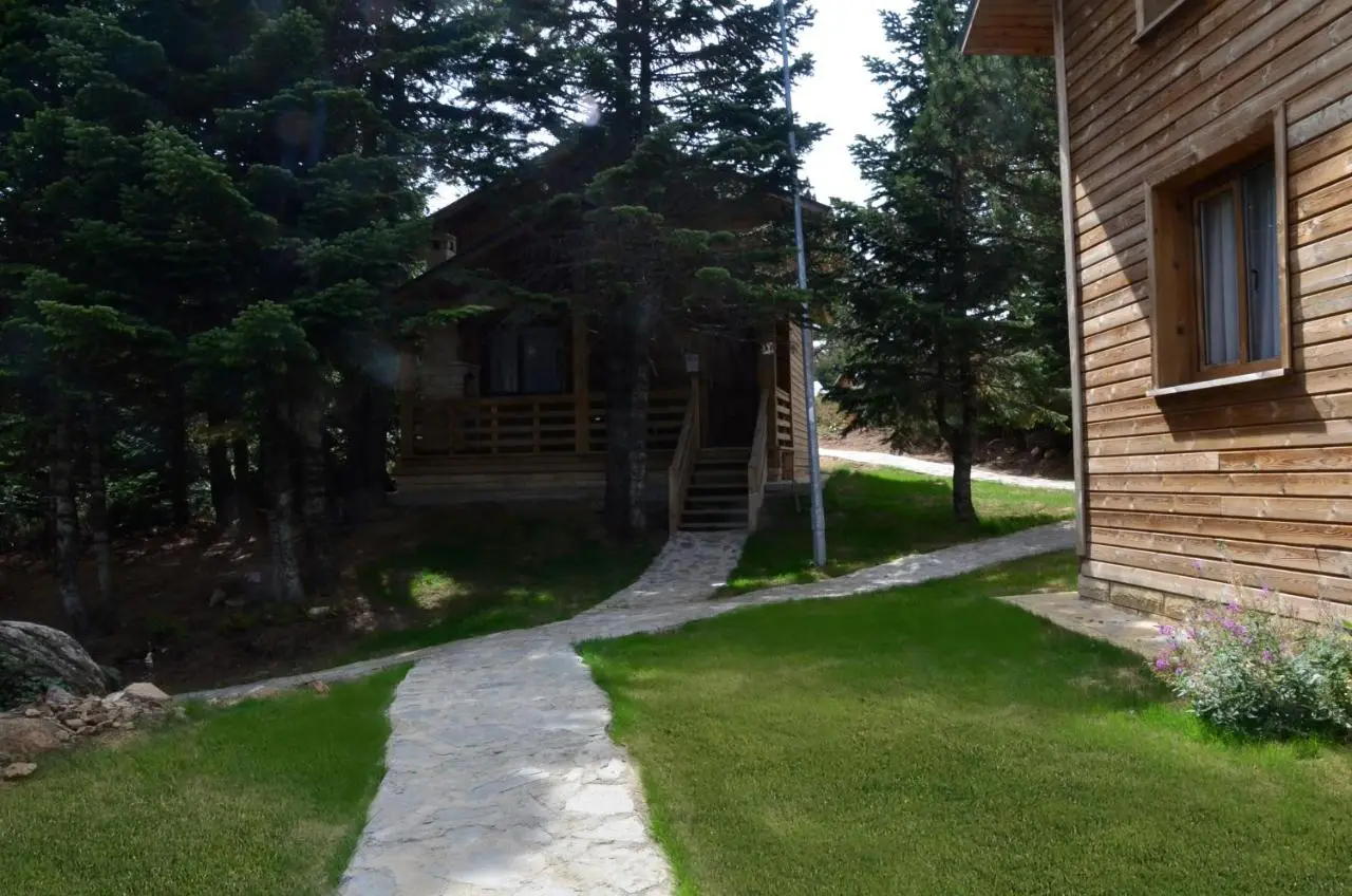 Uludag Orman Koskleri