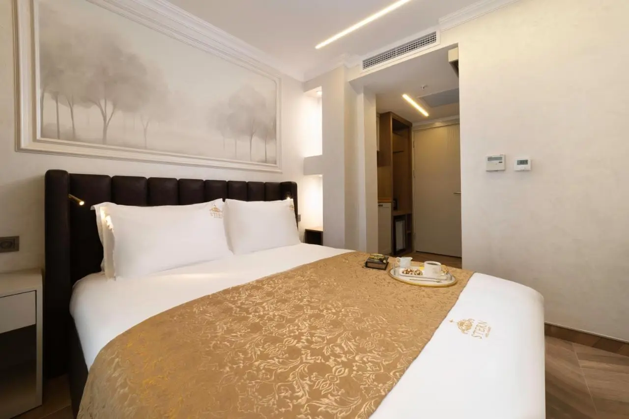 Stern Hotel Karaköy-Special Class
