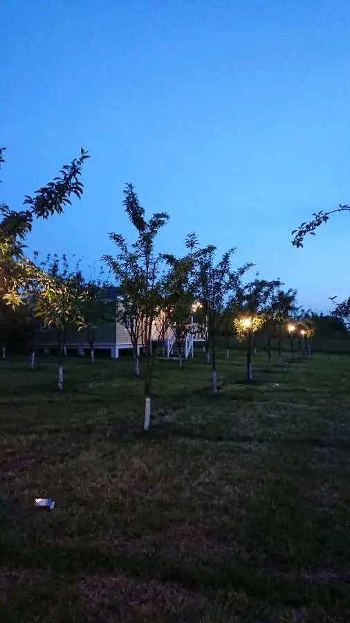 Our Garden