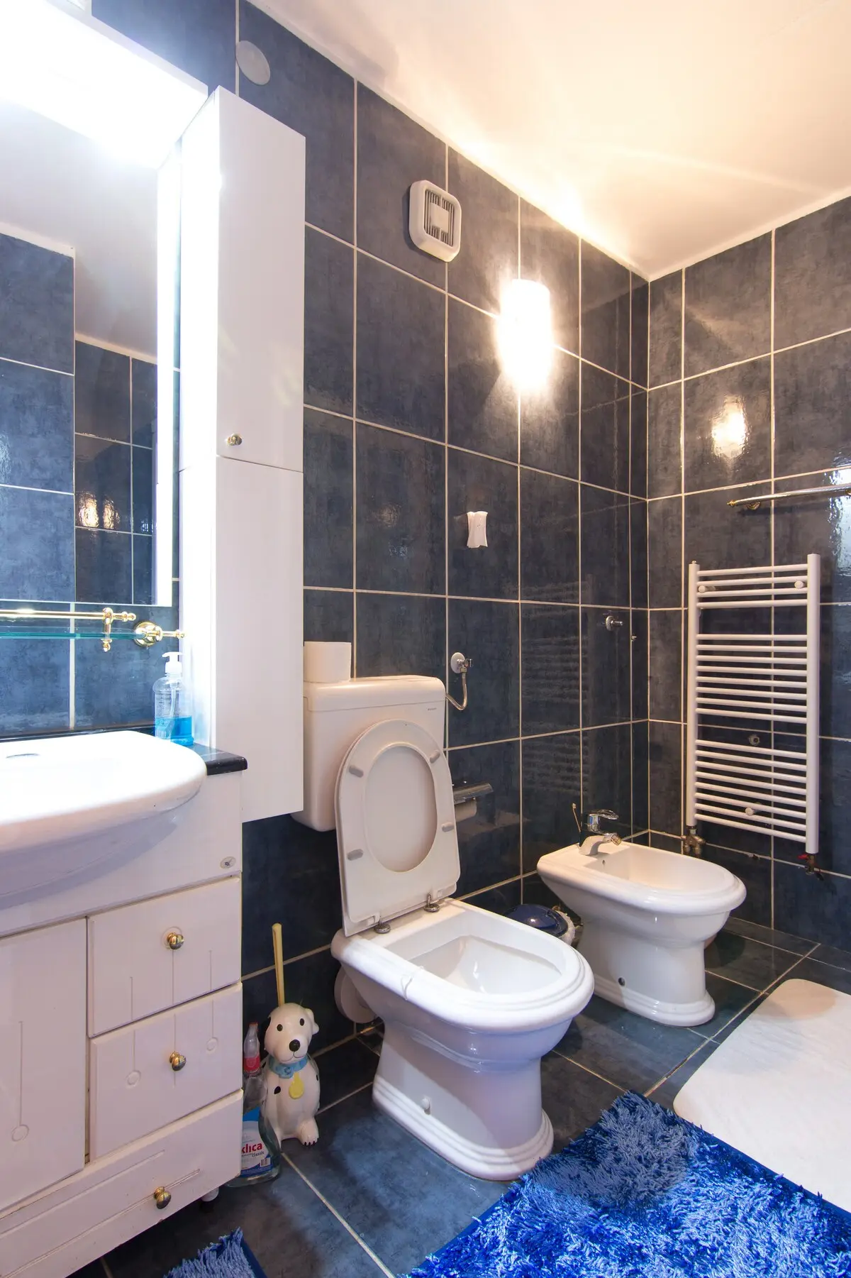 Sarajevo, Center, spacious 3 bedrooms apartment.