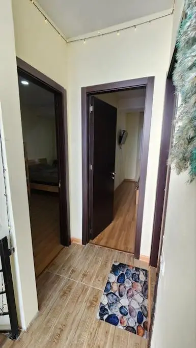 Cozy Home Bakuriani