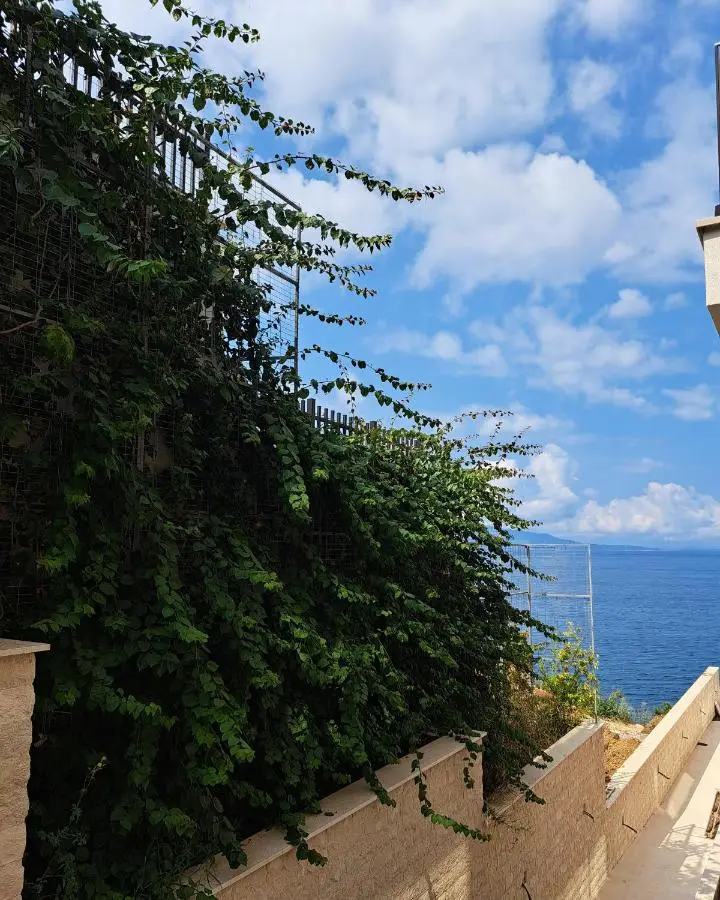 Mamani Apartments Saranda
