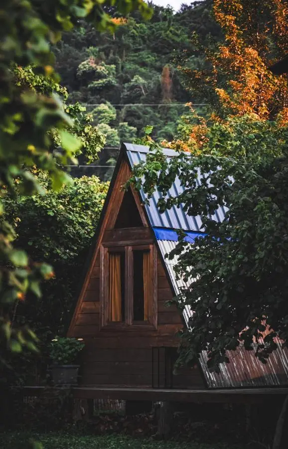 Dumbo Eco Camp