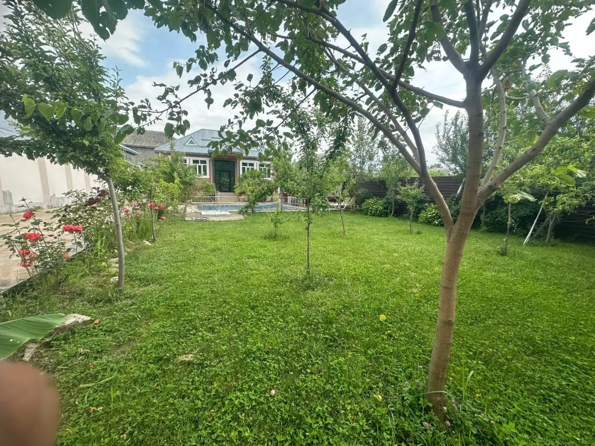palma villa