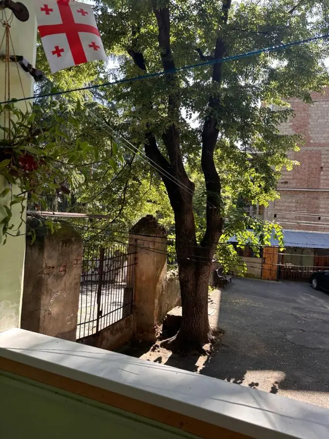Old Tbilisi Authentic spacious 3BR Apartment with Balcony, Walk to Freedom Sq, Family friendly